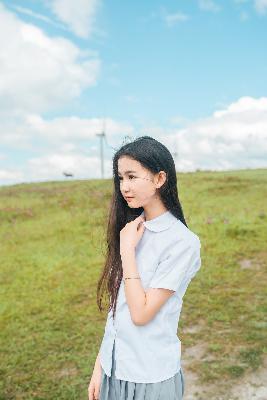 树影迷宫电视剧免费播放